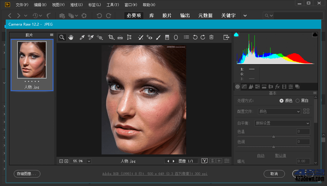 Adobe Bridge 2021 (11.1.1.185.0) Repack-美肚杀分享