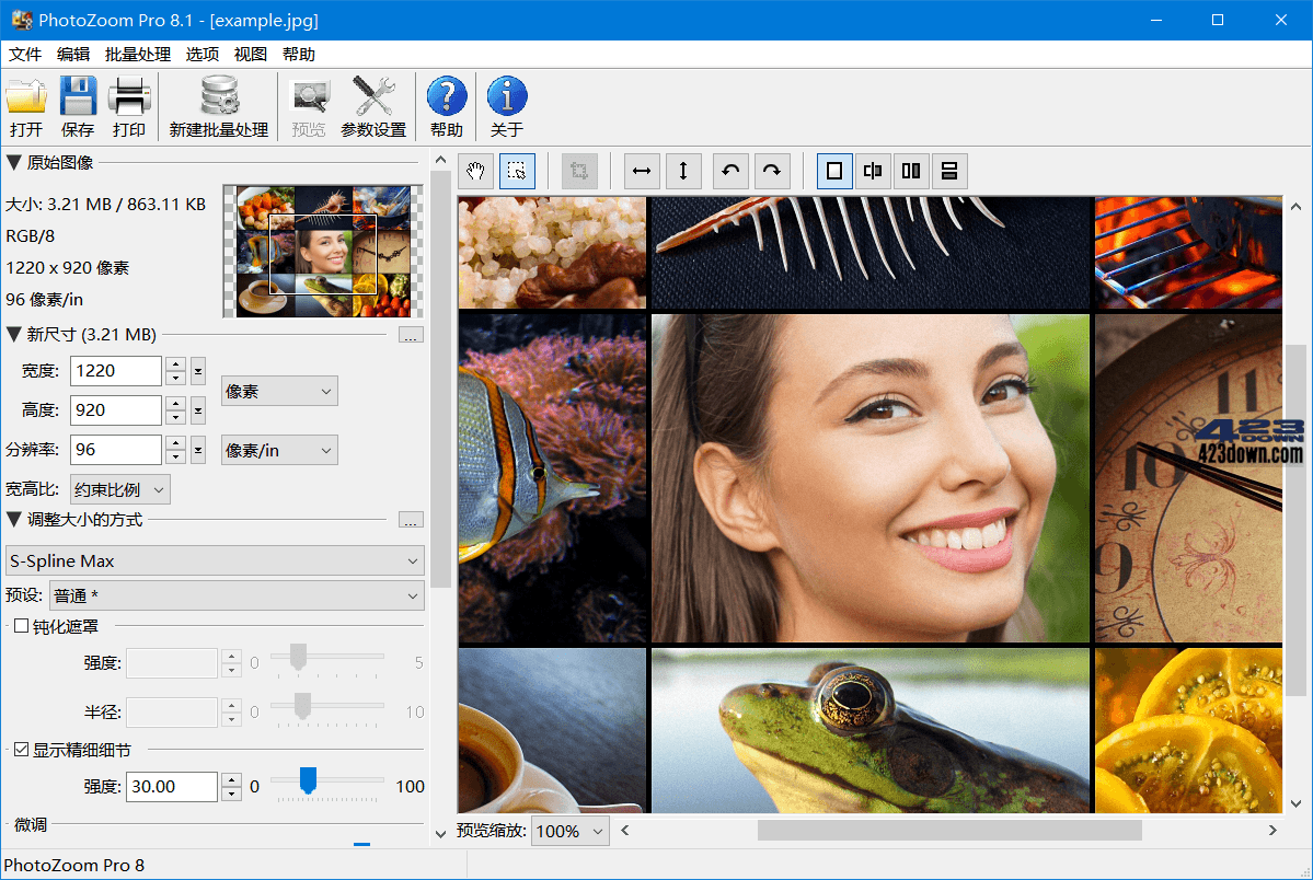 PhotoZoom破解版(图片无损放大神器)v9.0.2