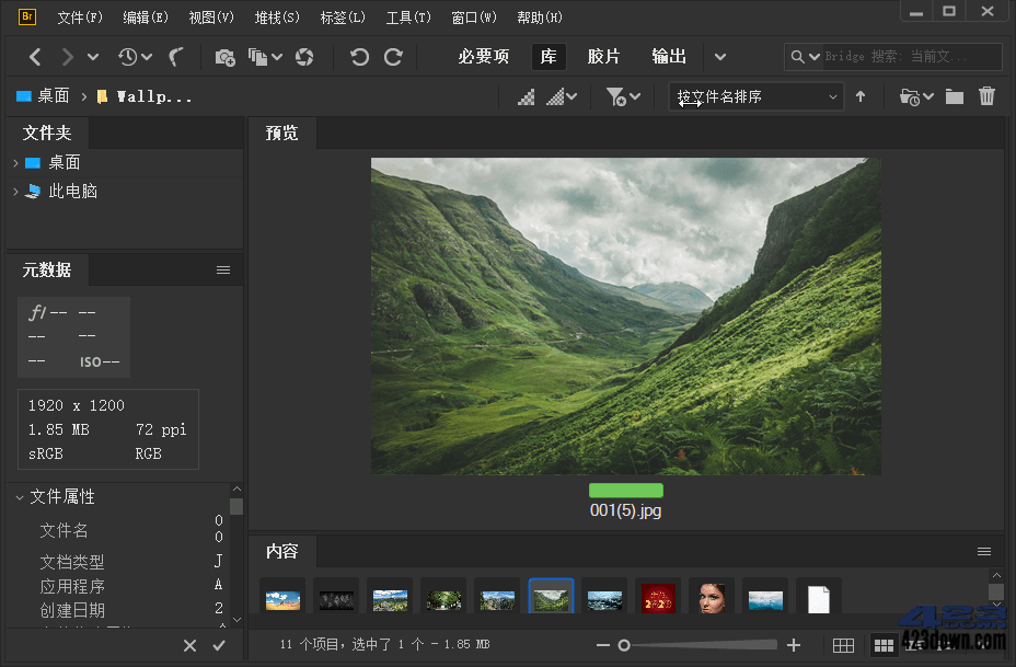 Adobe Bridge 2024 (v14.1.2.300.0) 破解版