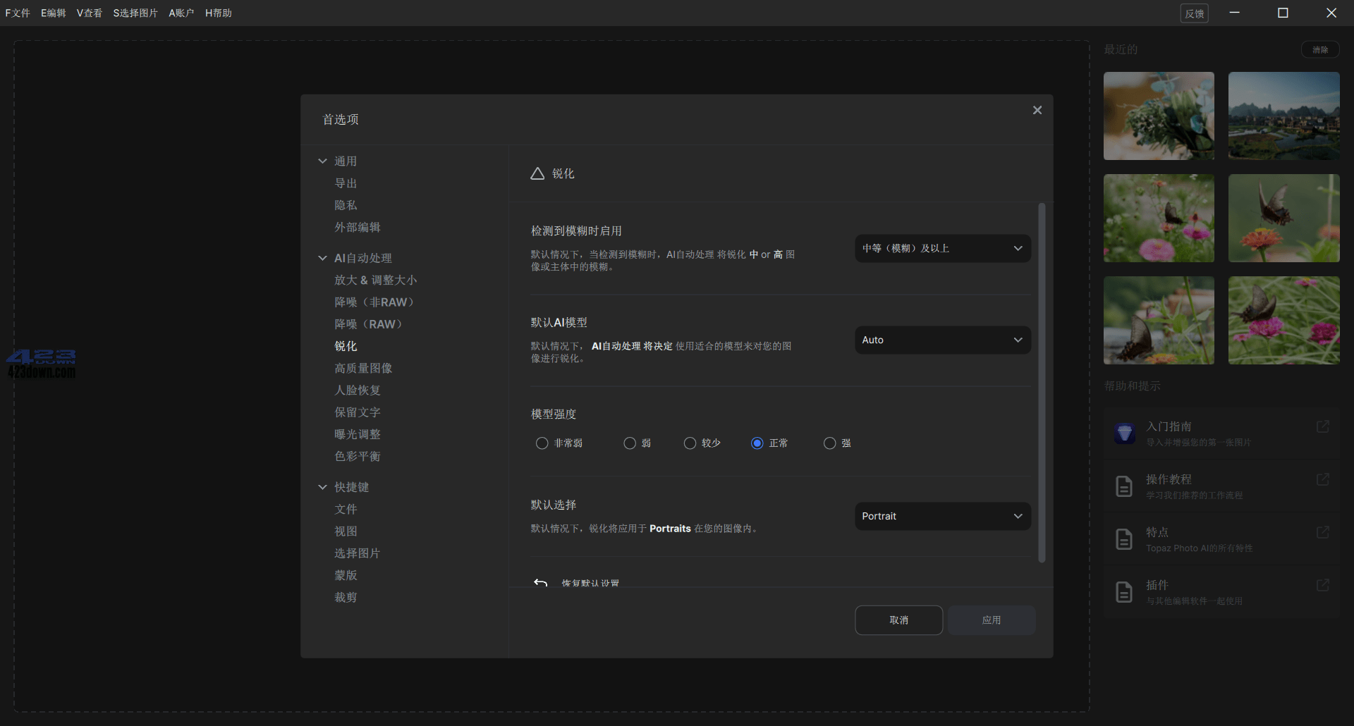 Topaz Photo AI中文破解版v3.4.1绿色便携版
