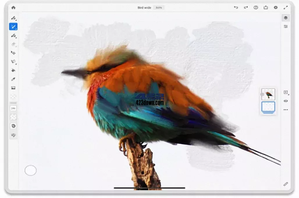 Adobe Fresco(绘图软件)v5.5.5.1416 破解版