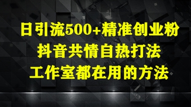 日引流500+精准创业粉，抖音共情自热打法，工作室都在用的方法网赚项目-美肚杀分享