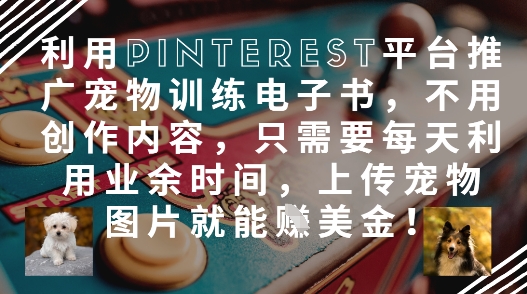 利用Pinterest平台推广宠物训练电子书，不用创作内容，只需要每天利用业余时间，上传宠物图片就能挣美金!网赚项目-美肚杀分享
