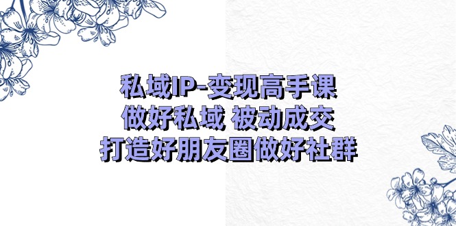 私域IP变现高手课：做好私域被动成交，打造好朋友圈做好社群（18节）网赚项目-美肚杀分享