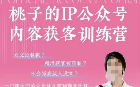 桃子IP公众号内容获客训练营(第3期)，一门让你公众号从0到商业闭环的课程网赚项目-美肚杀分享