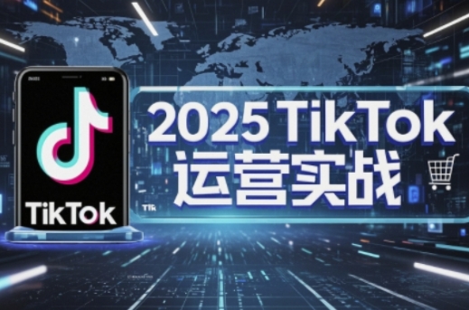 2025TikTok电商运营，掌握TikTok店铺运营核心技巧，实现低成本高转化网赚项目-美肚杀分享