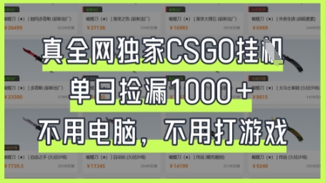 真全网独家CSGO挂G，单日捡漏1k+【揭秘】网赚项目-美肚杀分享