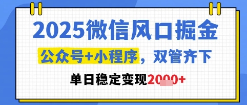 2025微信风口掘金，公众号+小程序双管齐下，单日稳定变现1k+【揭秘】网赚项目-美肚杀分享