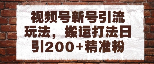 视频号新号引流玩法，搬运打法日引200+精准粉，可矩阵放大【揭秘】网赚项目-美肚杀分享