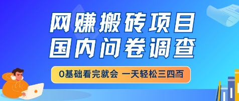 网创搬砖项目，国内问卷调查，小白轻松上手，一天三四张的也不难，干就完了【揭秘】网赚项目-美肚杀分享