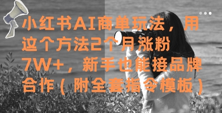 小红书AI商单玩法，用这个方法2个月涨粉7W+，新手也能接品牌合作(附全套指令模板)网赚项目-美肚杀分享