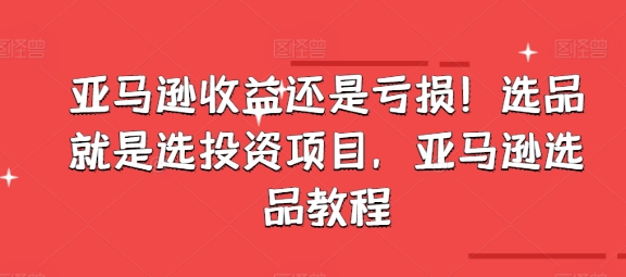 亚马逊收益还是亏损！选品就是选投资项目，亚马逊选品教程网赚项目-美肚杀分享