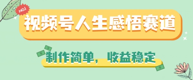 视频号人生感悟赛道，制作简单，收益稳定网赚项目-美肚杀分享