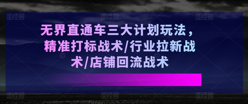 无界直通车三大计划玩法，精准打标战术/行业拉新战术/店铺回流战术网赚项目-美肚杀分享