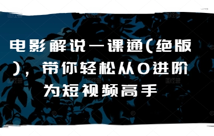 电影解说一课通(绝版)，带你轻松从0进阶为短视频高手网赚项目-美肚杀分享