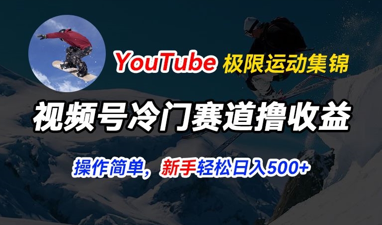 视频号冷门赛道撸收益，YouTube搬运极限运动集锦，暴力起号，操作简单流量高，轻松日入5张网赚项目-美肚杀分享