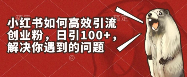 小红书如何高效引流创业粉，日引100+，解决你遇到的问题网赚项目-美肚杀分享