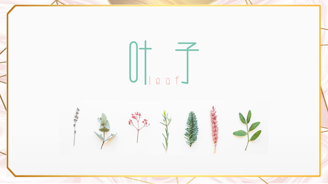 创意淡雅清新叶子PPT模板-美肚杀分享