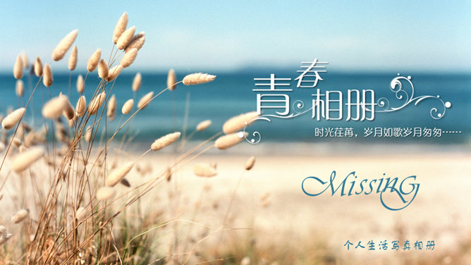 个人照片电子相册PPT模板-美肚杀分享