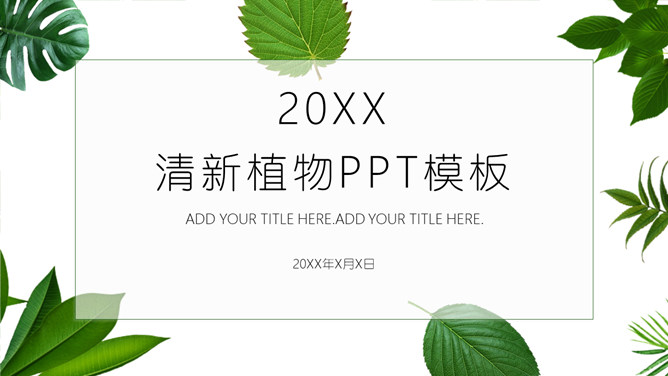 清新绿叶绿色植物PPT模板-美肚杀分享