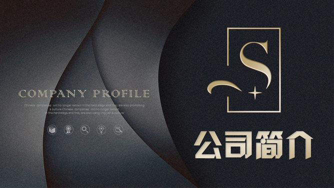 高端质感公司简介PPT模板-美肚杀分享