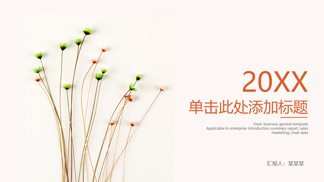 淡雅清新简约通用PPT模板-美肚杀分享