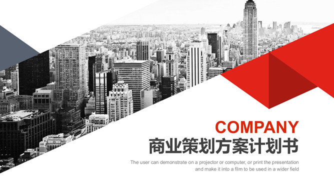 大气商业策划方案计划书PPT模板-美肚杀分享