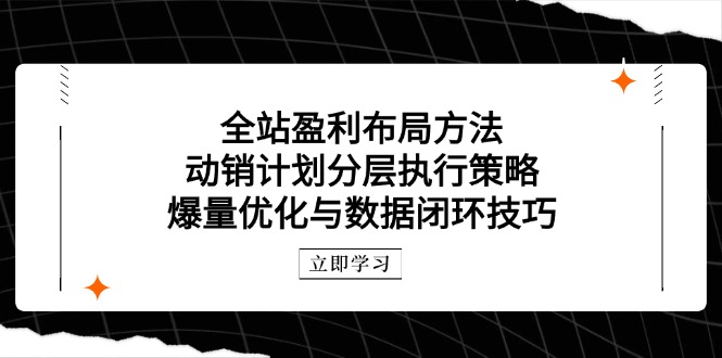 全站盈利布局方法：动销计划分层执行策略，爆量优化与数据闭环技巧网赚项目-美肚杀分享