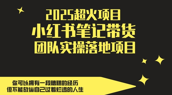 2025超火项目,副业最佳选择,小红书笔记带货团队实操落地项目,,轻松日入5张网赚项目-美肚杀分享
