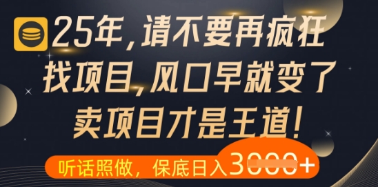 什么？25年你还在疯狂找项目做，醒醒吧，看完这些你全都懂了【揭秘】网赚项目-美肚杀分享