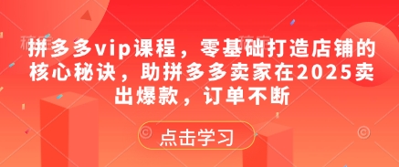 拼多多vip课程,零基础打造店铺的核心秘诀,助拼多多卖家在2025卖出爆款,订单不断网赚项目-美肚杀分享