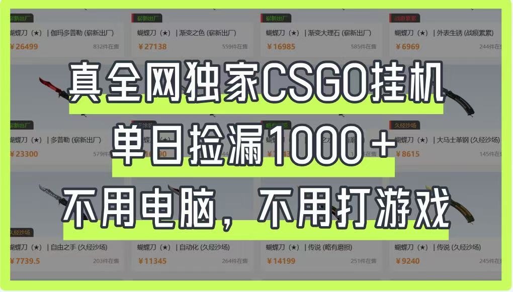 真全网独家CSGO挂机，单日捡漏1000+，不用电脑，不用养号网赚项目-美肚杀分享