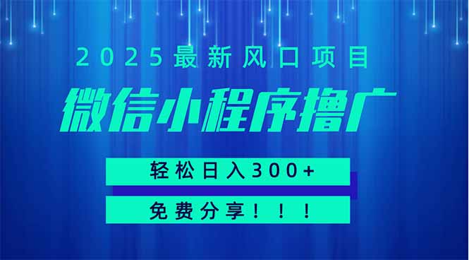 微信小程序撸广,最新风口项目,日入300+ 免费分享 可批量操作 小白可…网赚项目-美肚杀分享