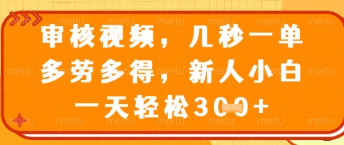 视频审核员，几秒一单，不限时间，不限地点，多做多得，新人小白一天轻松几张+【揭秘】网赚项目-美肚杀分享