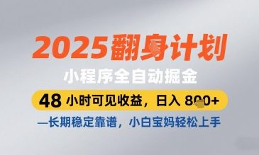 2025小程序全自动掘金，48 小时可见收益，日入8张，长期稳定靠谱，小白宝妈轻松上手【揭秘】网赚项目-美肚杀分享