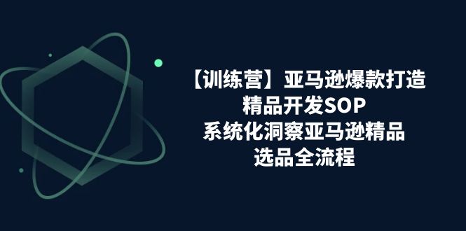 亚马逊爆款打造之精品开发SOP【训练营】,系统化洞察亚马逊精品选品全流程网赚项目-美肚杀分享