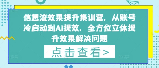 信息流效果提升集训营，从账号冷启动到AI提效，全方位立体提升效果解决问题网赚项目-美肚杀分享