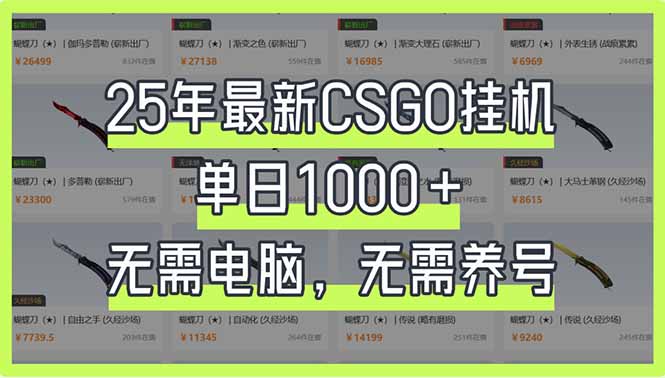 25年最新CSGO挂机系统，单日1000+，无需电脑，无需养号，0基础可上手网赚项目-美肚杀分享