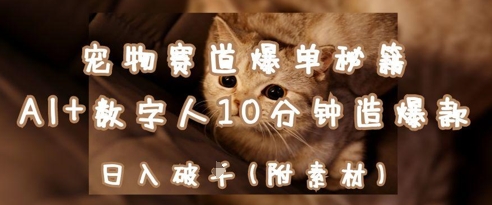 宠物赛道爆单秘籍:AI+数字人10分钟造爆款,日入1k网赚项目-美肚杀分享