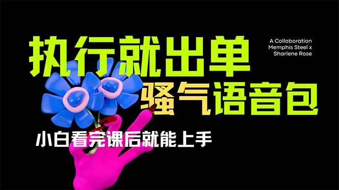 爆火全网的开车导航骚气语音包,只要执行就出单,小白看完课程就能实操…网赚项目-美肚杀分享