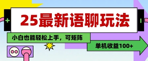 25年最新语聊玩法，纯手工，单机收益100+，小白也能轻松上手，可矩阵操作网赚项目-美肚杀分享