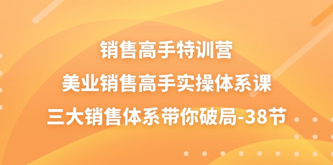 销售高手特训营,美业销售高手实操体系课,三大销售体系带你破局(38节)网赚项目-美肚杀分享