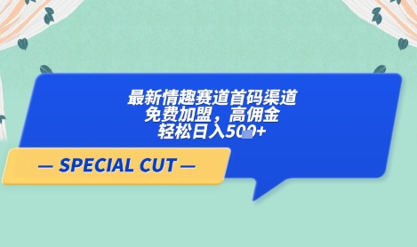 【轻云】最新情趣赛道首码渠道,免费加盟,高佣金,轻松日入5张+网赚项目-美肚杀分享