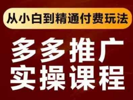 拼多多推广实操课程，从小白到精通付费玩法网赚项目-美肚杀分享