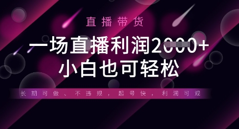 半无人直播带货,一场利润数张,适合所有平台玩法,小白也可轻松网赚项目-美肚杀分享