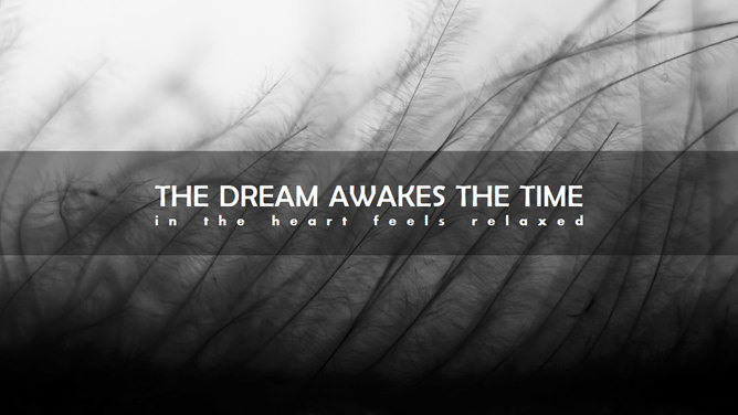 素雅黑灰图文排版PPT模板-美肚杀分享