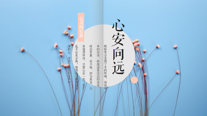 清新翻书效果图文排版PPT模板-美肚杀分享