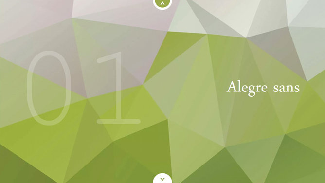 时尚多边形PPT背景图片-美肚杀分享