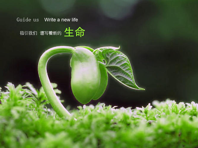 美丽绿色大自然PPT背景图片-美肚杀分享