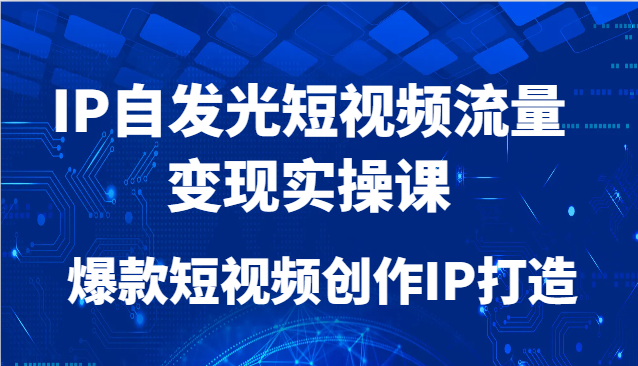 IP自发光短视频流量变现实操课,爆款短视频创作IP打造网赚项目-美肚杀分享